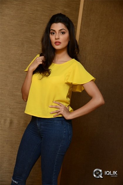 Anisha-Ambrose-At-Interview-About-Fashion-Designer-Movie